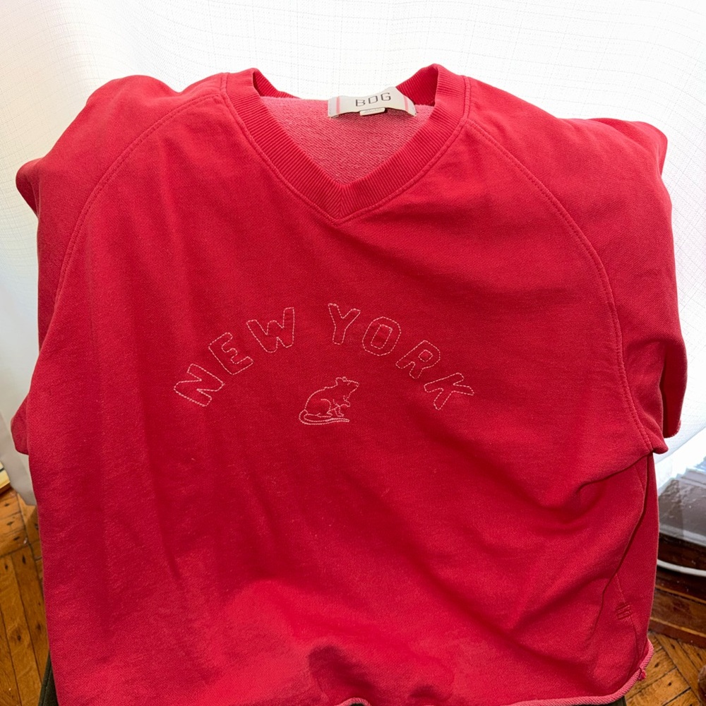 Urban Outfitters BDG Coral Crewneck Pullover